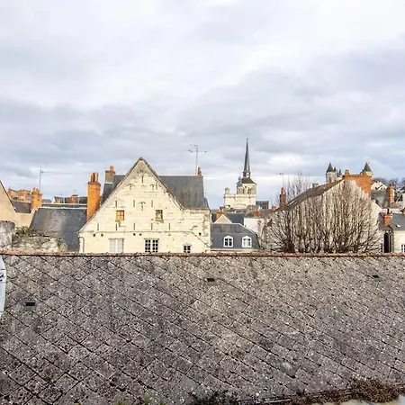 Calme-cosy-centre-ville-saumur * Saumur